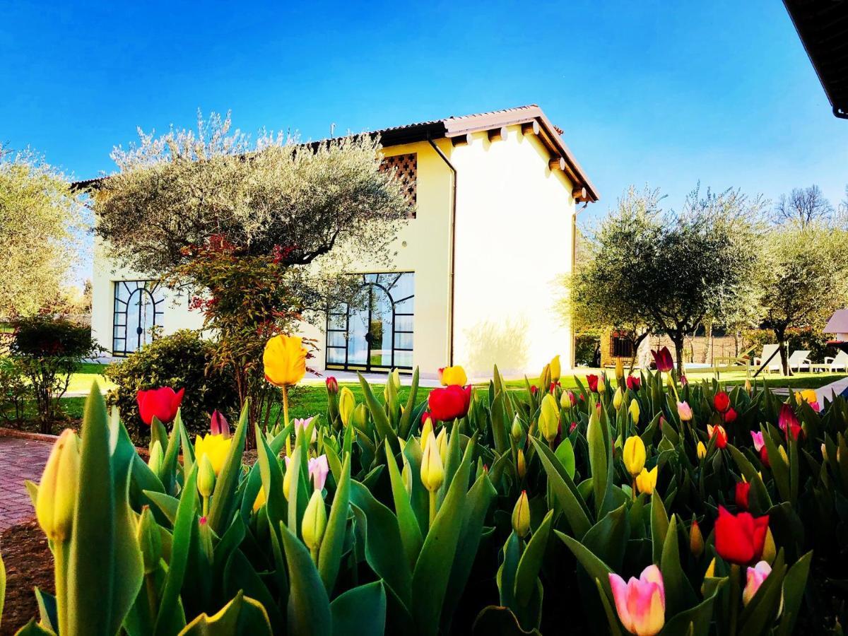 Agriturismo Bitturelli Ponti sul Mincio Extérieur photo